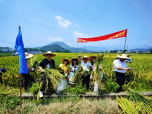 開鐮儀式現(xiàn)場(chǎng)1.jpg
