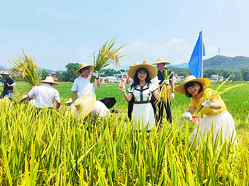 開鐮儀式現(xiàn)場(chǎng).jpg