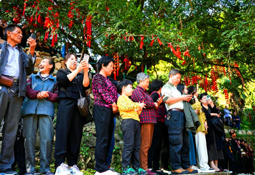 QQ截圖20231019203201.jpg